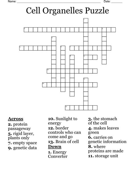 Cell Organelles Crossword Puzzle Prntbl Concejomunicipaldechinu Gov Co