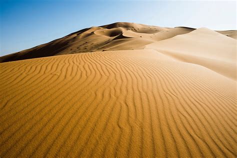 Sand Dunes Near Merzouga Erg Chebbi License Image 71029109