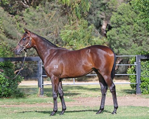 Oodnadatta Makes It Eleven For Too Darn Hot Mill Park