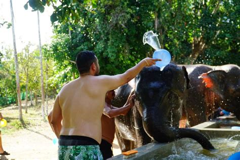 Koh Samui Half Day Ethical Elephant Sanctuary With Mud Spa