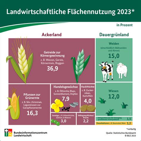 Was wächst auf Deutschlands Feldern Praxis Agrar