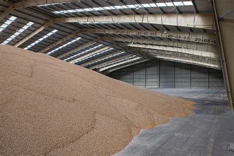 Brazil Grain Harvest Record For The 3rd Consecutive Year All About Feed