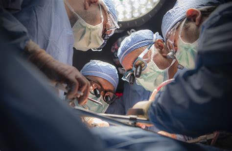 Get Liver Transplant Surgery Cleveland Clinic