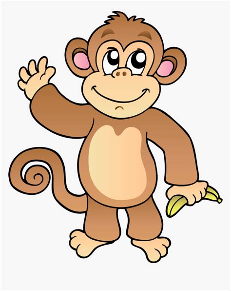 Monkey Png Transparent Koleksi Gambar