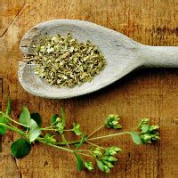 Чай из орегано: польза для вашего здоровья - Yabuy