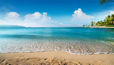 summer time on the beach during the day · Free Stock Photo