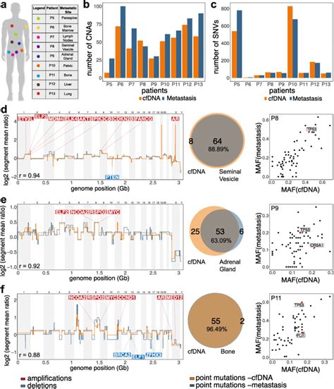 Concordance Of Plasma Dna And Metastatic Tissue Samples A Metastatic