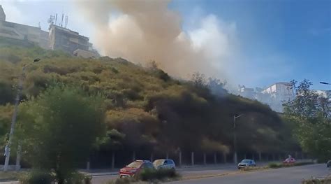 Seis incendios forestales destruyeron áreas verdes del Centro de Quito