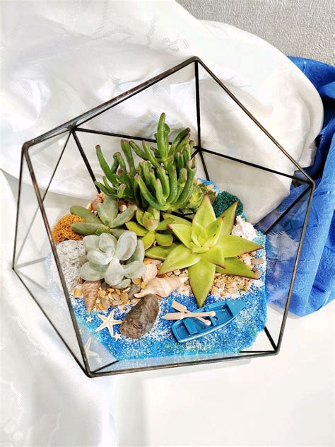 НАБОР «L» для создания флорариума ваза Космос L (Икосаэдр) в интернет ...