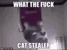 Fuck This Cat Gifs Tenor