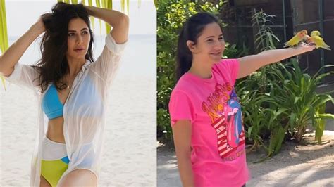 Katrina Kaif Poses In Bikini Feeds Parrots During Maldives Trip Watch Hindustan Times
