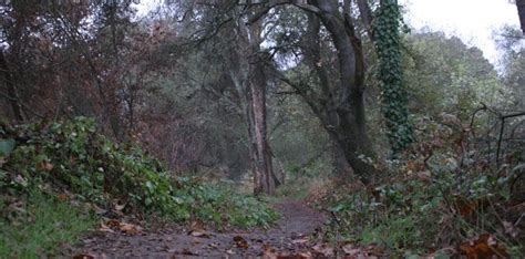 Los Rios Police And Arc Administration Work To Reduce Arcade Creek