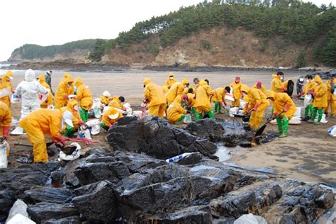 충주 자원봉사자 태안 계목항 기름제거 봉사활동