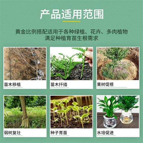 国光根盼吲哚丁酸萘乙酸植物生根剂扦插移栽苗木花卉爆发式生根液虎窝淘