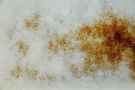 Erase Coffee Stains: The Ultimate Cleaning Guide - Hunter Games Magazine