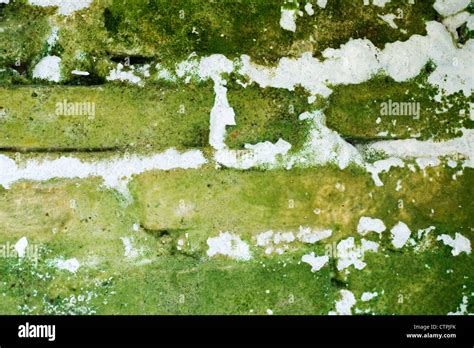 Severe Rising Damp On A House Exterior Wall Common Sight In Indonesia