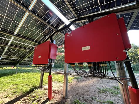 Diners are debating the authenticity of el refu dishes 12