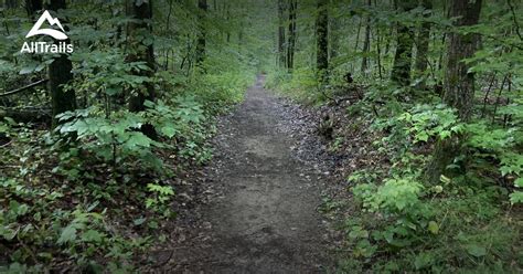 Best Hikes And Trails In Turkey Point Alltrails