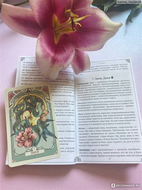 Тайный сад. Оракул Ленорман (37 карт и руководство для гадания ...
