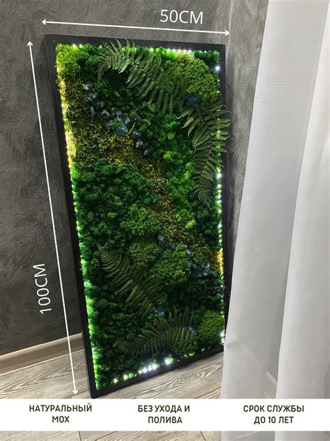 Панно Из Стабилизированного Мха купить на OZON по низкой цене