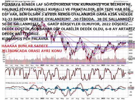 SP 50 FİBO | JeLiBoNCa