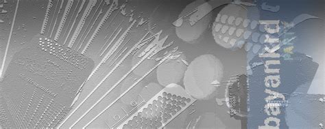 Баян Аккордеон Гармонь | Краснодарский край | Открытая группа для ...