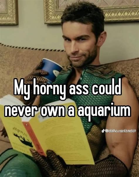 My Horny Ass As Could Never Own A Aquarium Ielander IFunny