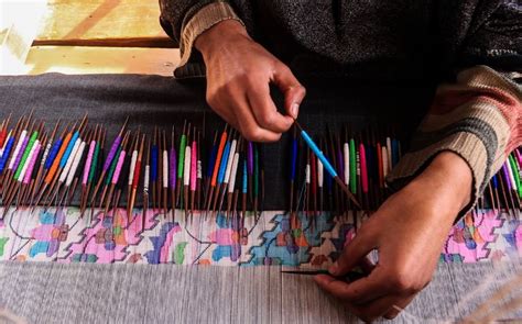 craft safari srinagar kashmir rootstock