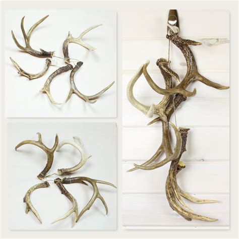 DEER ANTLERS Set of 5 Real Whitetail Deer Antlers - Etsy