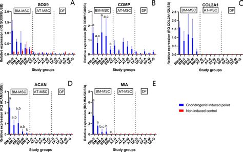 Gene Expression Of Selected Chondrogenic Biomarkers Bar Plots With