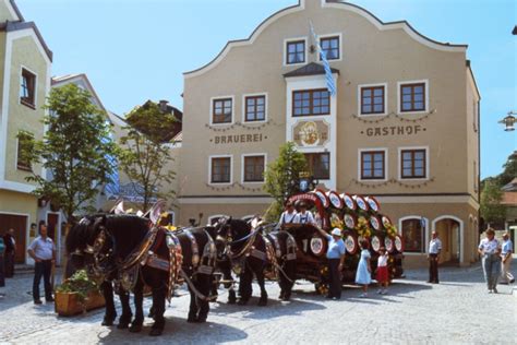 Brauereigespann Der Brauerei Falter Arberland Regio Gmbh