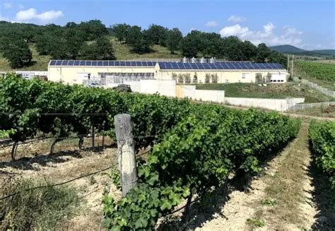 Family Wine Estate Santa Sarah - High quality Bulgarian wine