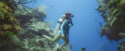 The Great Blue Hole Lighthouse Reef Atoll Snorkel