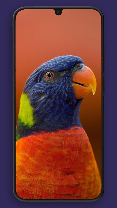 Walp Wallpapers APK pour Android Télécharger