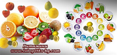 Видове витамини и ролята им в човешкия организъм