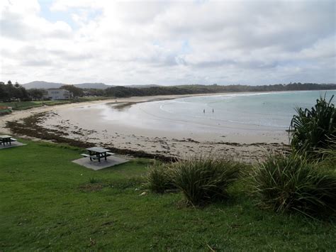 Travel Bug Woolgoolga Australia Sun Nov 18