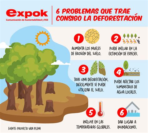 6 Problemas Que Trae Consigo La Deforestación