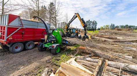 JG Trees Ltd Qualified Arborists Tree Specialists Canterbury YouTube