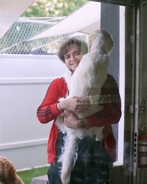 💕 It’s pretty obvious these 2 have a... - DOG Hotels Aventura