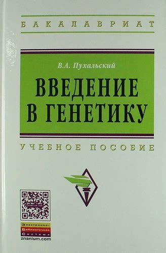Blog Archives - prioritygd