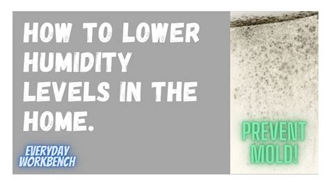 Reduce Humidity In The Home Prevent Mold And Make Your Home More