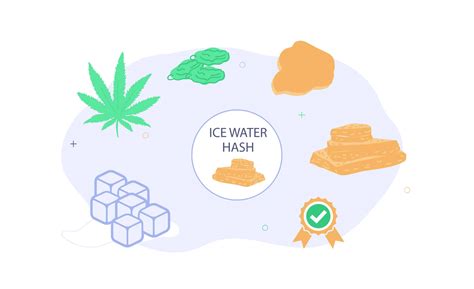 ultimate guide  ice water hash save  cannabis