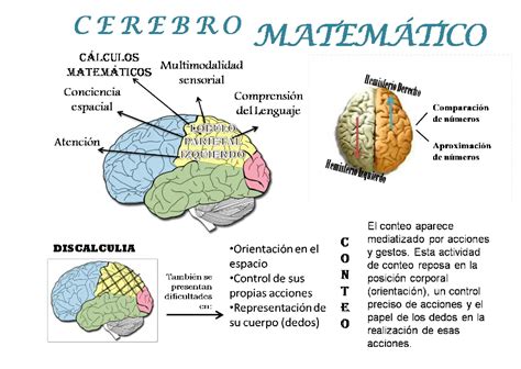 Cómo Mejorar La Inteligencia Lógica Matemática ICCSI