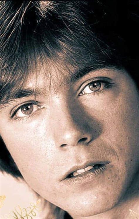 David Cassidy David Cassidy 70s Actors Heartthrob