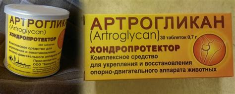 Артрогликан для кошек - инструкция по применению, состав и дозировка