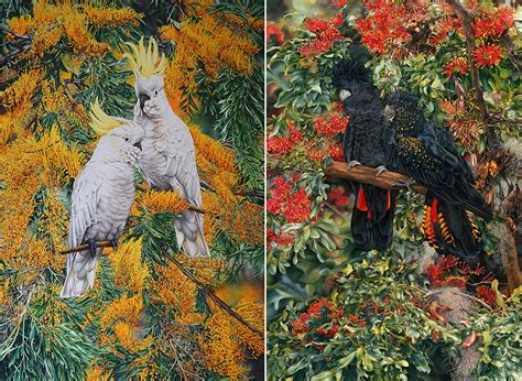 Australian Bird Prints Cockatoo Paintings Heidi Willis