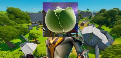 Cabbage Skin Concept Rfortnitebr