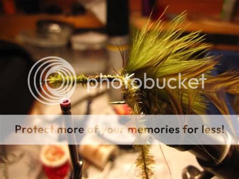 Gotta Stay Fly The Almighty Sex Dungeon