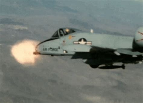 Anyone Tanks GIF - Find & Share on GIPHY