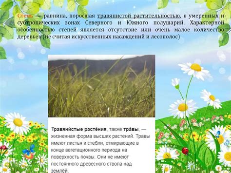 Степи. Определение степи - презентация онлайн